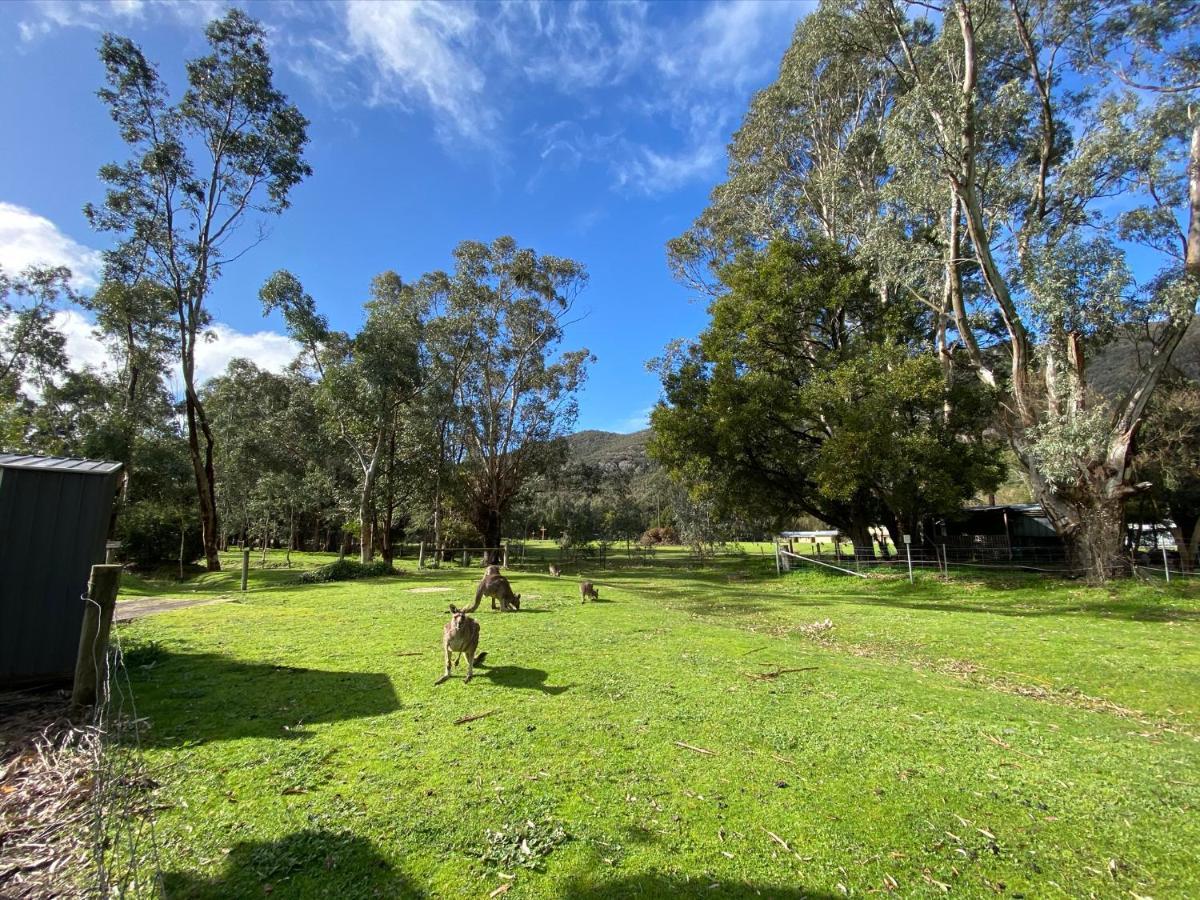 Kangurra House Villa Halls Gap Exterior foto